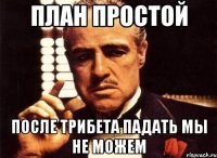 План простой После трибета падать мы не можем