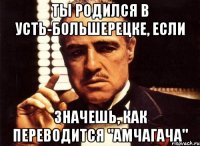 ты родился в усть-большерецке, если значешь, как переводится "Амчагача"