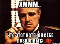 хммм.. что этот котенок себе позволяет!?