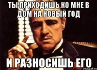 ты приходишь ко мне в дом на новый год и разносишь его