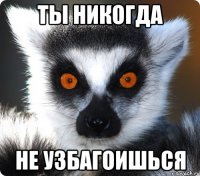 Ты никогда Не узбагоишься