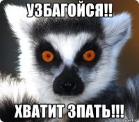 узбагойся!! хватит зпать!!!