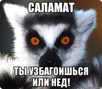 Саламат Ты узбагоишься или нед!