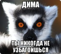 Дима Ты никогда Не узбагоишься