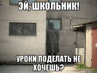 эй, школьник! уроки поделать не хочешь?