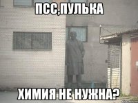 Псс,Пулька Химия не нужна?