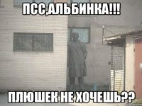 псс,Альбинка!!! плюшек не хочешь??