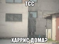 Тсс Харрис дома?