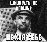 Шишка,ты не спишь? Не хуя себе