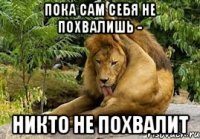 Пока сам себя не похвалишь - Никто не похвалит