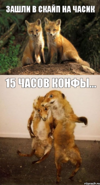 зашли в скайп на часик 15 часов конфы...