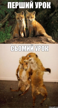 Перший урок Сьомий урок