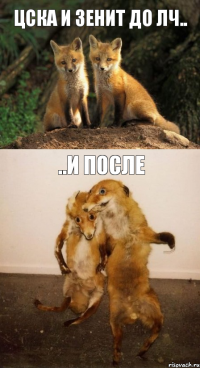Цска и Зенит до ЛЧ.. ..и после
