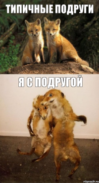типичные подруги я с подругой