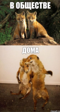 В обществе Дома