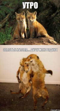 утро золотые купола.... душу мою радуют