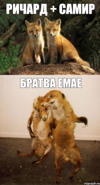ричард + самир братва емае