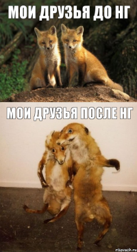 Мои друзья до НГ Мои друзья после НГ