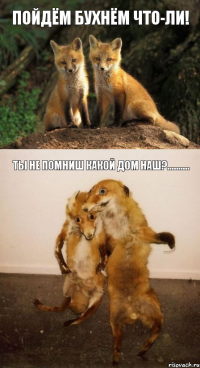 Пойдём бухнём что-ли! Ты не помниш какой дом наш?..........