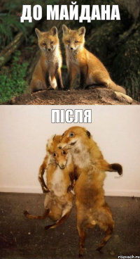 до майдана після