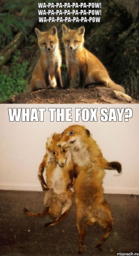 Wa-pa-pa-pa-pa-pa-pow! Wa-pa-pa-pa-pa-pa-pow! Wa-pa-pa-pa-pa-pa-pow What the fox say?