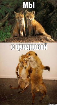Мы с Цукановой