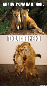 Алина , Рома на вписке После Вписки