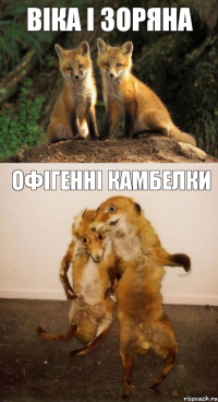 віка і зоряна офігенні камбелки