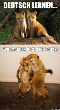 Deutsch lernen... Wir machen jetst eine Pause!
