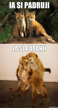 ia si padruji ia si patani)