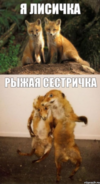 Я лисичка рыжая сестричка