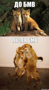 До БМВ після БМВ
