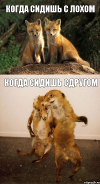 когда сидишь с лохом когда сидишь сдругом