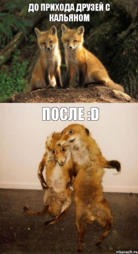 до прихода друзей с кальяном после :D