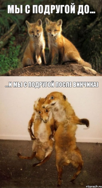 Мы с подругой до... ...И мы с подругой после Винчика)