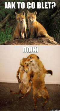jak to co blet? Dojki