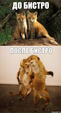 ДО БИСТРО ПОСЛЕ БИСТРО