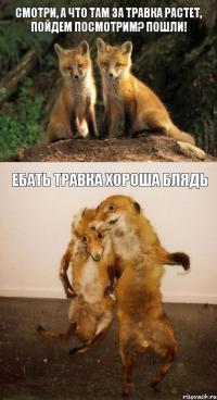 Смотри, а что там за травка растет, пойдем посмотрим? Пошли! Ебать травка хороша блядь