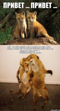 Привет ... Привет ... Ах , тыж сучька ! Сколько лет ... сколько зим...