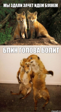 мы здали зачет идем бухнем блин голова болит