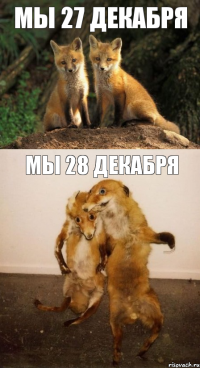 Мы 27 декабря Мы 28 декабря