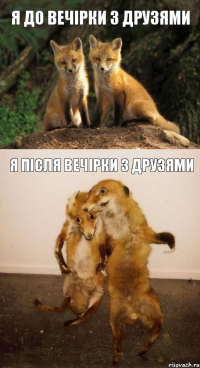 Я до вечірки з друзями Я після вечірки з друзями