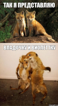 Так я представляю Владочку и Виолеттку