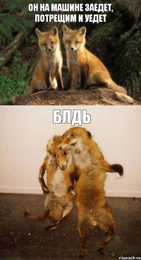 Он на машине заедет, потрещим и уедет БЛДЬ