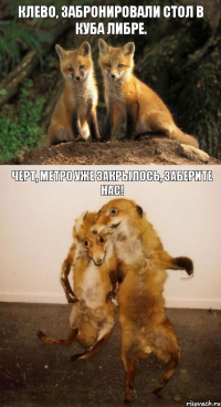 Клево, забронировали стол в Куба Либре. Черт, метро уже закрылось, заберите нас!