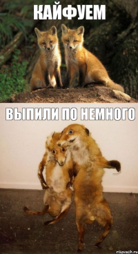 кайфуем выпили по немного