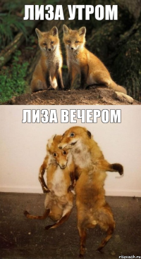 лиза утром лиза вечером