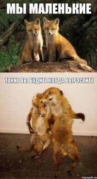 мы маленькие такие вы будите когда выростите