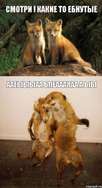 смотри ! какие то ебнутые ааеыыыаа блеаааяаа а ыы