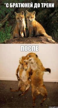 *С братюней До трени После